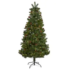 6ft. Pre-Lit Rocky Mountain Spruce & Pinecone Artificial Christmas Tree, Clear LED Lights
