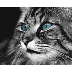 Ideyka Emerald Look Painting by Numbers Kit