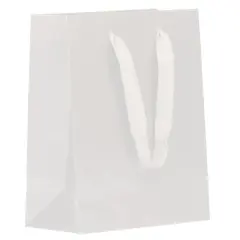 JAM Paper Medium White Matte Heavy Duty Kraft Gift Bags, 10ct.