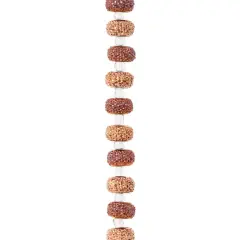 $product['description']['title']}