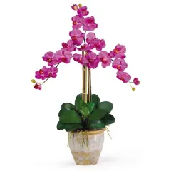 Triple Phalaenopsis Orchid Flower Arrangement In Ceramic Vase