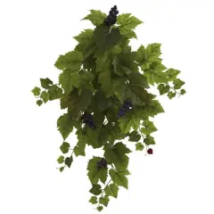 Grape Leaf Hanging Plant, 2ct.