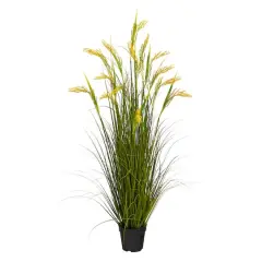 3.5ft. Potted Wheat Grain