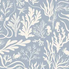 Elana Gabrielle Tides Peel & Stick WallpaperPlacid
