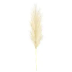 5ft. Cream Pampas Grass Stem by Ashland&reg;