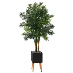 70" Areca Palm Tree in Black Planter with Stand