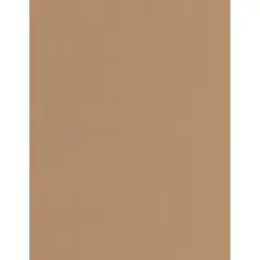 PA Paper&trade; Accents 8.5" x 11" 73lb. Muslin Cardstock Paper, 1,000 Sheets Toffee