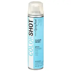 COLORSHOT&reg; Premium Gloss Spray Paint Clear Skies