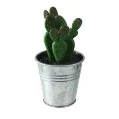 5.25" Green Mini Cactus in Tin Pot