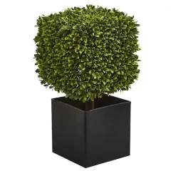 27" Boxwood Artificial Plant in Black Planter