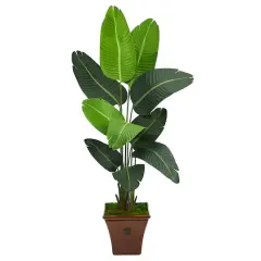 5.5ft. Travelers Palm Artificial Tree in Brown Planter
