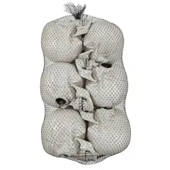 4" Skulls, 6ct. by Ashland&reg;