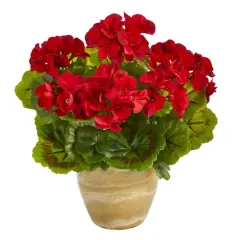 11'' Red Geranium in Ceramic Planter