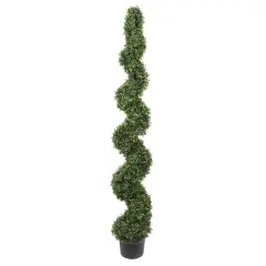 6ft. Potted Boxwood Spiral Tree