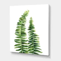 Designart - Fern Leaves Detail IV - Farmhouse Canvas Wall Art Print