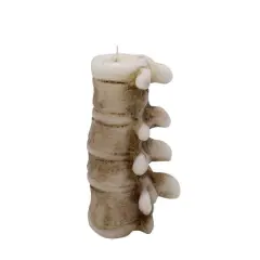 6" Spine Shaped Candle by Ashland&reg;