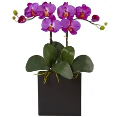 18.5" Double Mini Phalaenopsis Silk Orchid in Black Vase