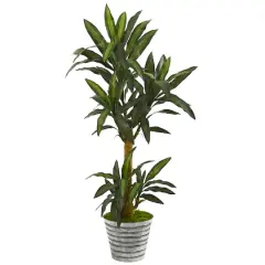 5ft. Yucca Plant in Decorative Tin Bucket