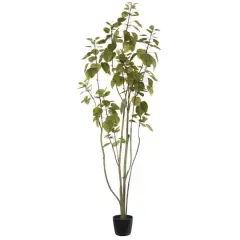 5ft. Potted Artificial Green Smoke Tree
