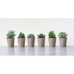 Hello Honey&reg; Faux Succulent In Paper Pot Set, 6ct.