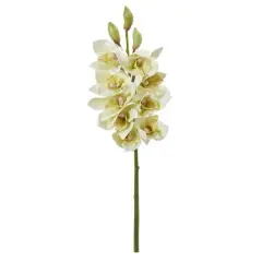Boat Orchid Flower Spray, 4ct. White