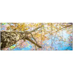 Designart - Under Branch of Yellow Cherry Tree - Trees Canvas Art Print