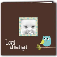 Pioneer&reg; Blue Baby Owl Post Bound Album, 12" x 12"