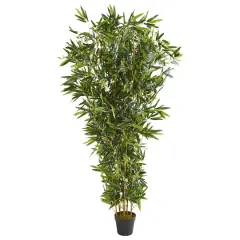 6ft. Potted Bamboo Tree