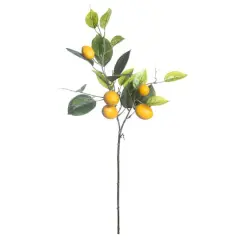 31" Lemon Branch by Ashland&reg;