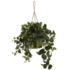 24" Philo in Hanging Basket