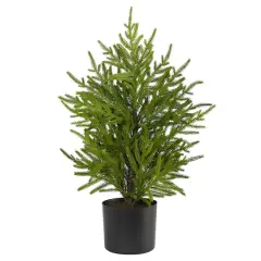 2ft. Unlit Norfolk Island Pine Artificial Potted Christmas Tree