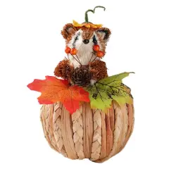 7.5" Raccoon on Pumpkin Natural D&eacute;cor by Ashland&reg;