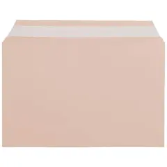 JAM Paper 5.43" X 8.62" Self Adhesive Closure Cello Sleeves, 100ct. Peach
