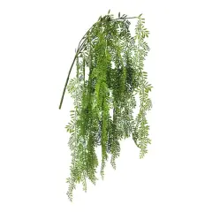26" Hanging Ficus Bush by Ashland&reg;