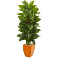 5.5ft. Large Leaf Philodendron Plant in Orange Planter