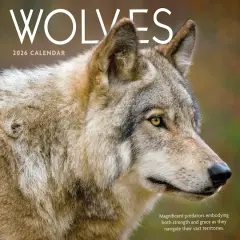 2026 Wolves Wall Calendar