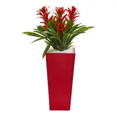 2ft. Red Triple Bromeliad in Red Planter