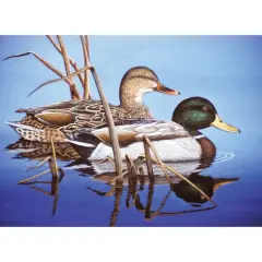 Royal & Langnickel&reg; Blue Water Mallards Paint By Number Kit
