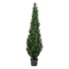 6ft. Potted Cedar Tree