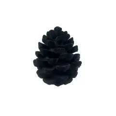 7.25" Black Flocked Pinecone Tabletop D&eacute;cor by Ashland&reg;