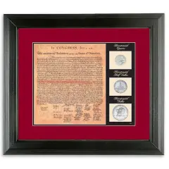 Birth of a Nation - Declaration of Independence