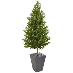 5.5ft. Olive Cone Topiary Tree in Slate Planter