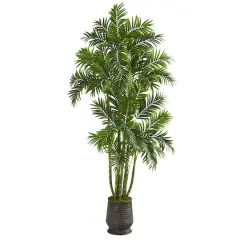 6ft. Areca Palm Tree in Ribbed Metal Planter