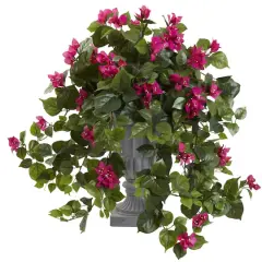 2ft. Flowering Bougainvillea in Decorative Urn
