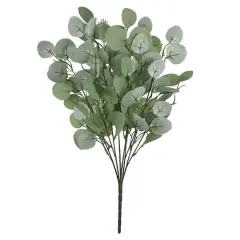 Eucalyptus Bush by Ashland&reg;
