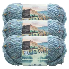 3 Pack Lion Brand&reg; Hometown Variegates Yarn Key Largo Tweed