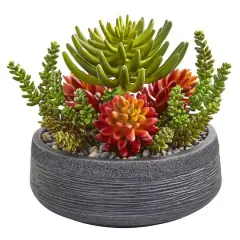 12in. Succulent Garden in Stone Bowl