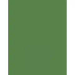 PA Paper&trade; Stash Builder 8.5" x 11" Cardstock, 1,000 Sheets Parrot