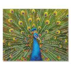 Peacock Diamond Art Kit by Make Market&reg;