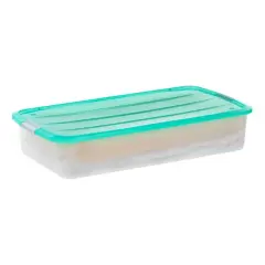 IRIS&reg; 50qt. Mint Green & Clear Underbed Storage Box with Latching Lid